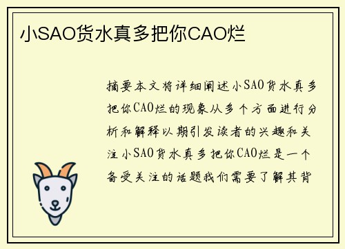 小SAO貨水真多把你CAO爛